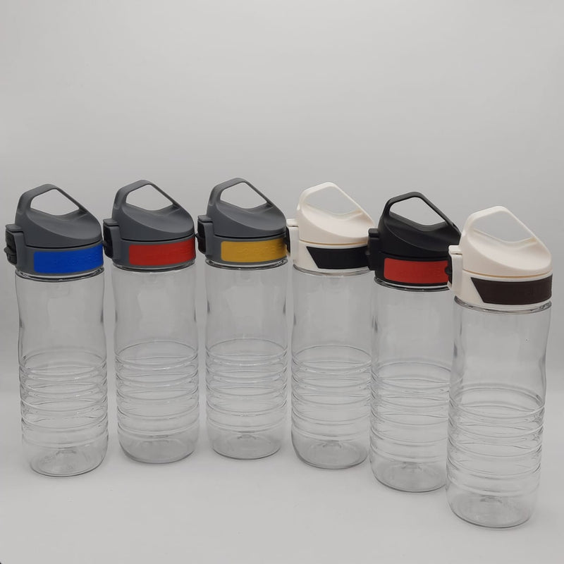 Stylish Sport Bottle 650 Ml