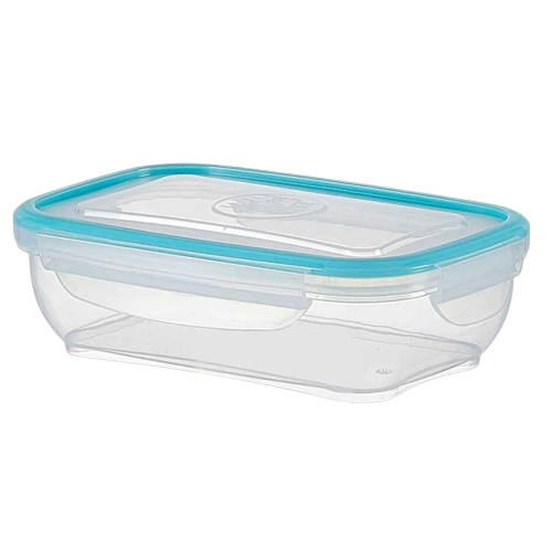 Elegant Storage Rectangular Box 0.8Ltr